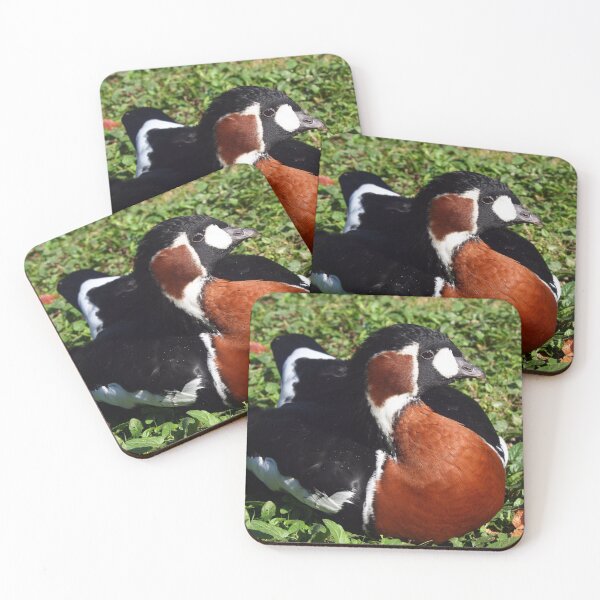 Item preview, Brown duck lying designed and sold by Grégory DUBUS.