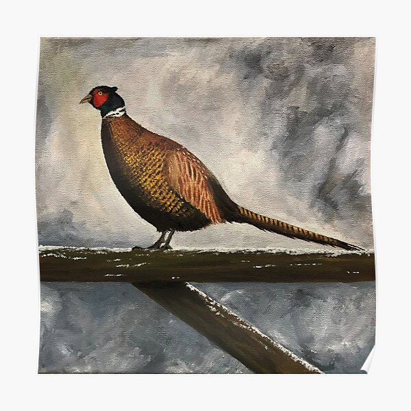 Pheasant in Winter Poster