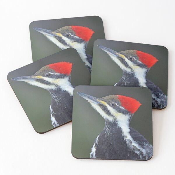 Item preview, Female Pileated Woodpecker designed and sold by ForLoveofArt.