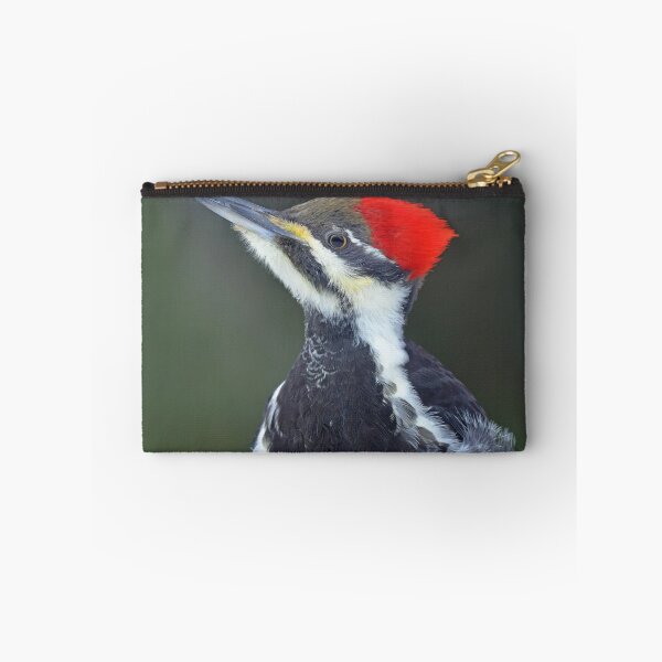 Item preview, Female Pileated Woodpecker designed and sold by ForLoveofArt.