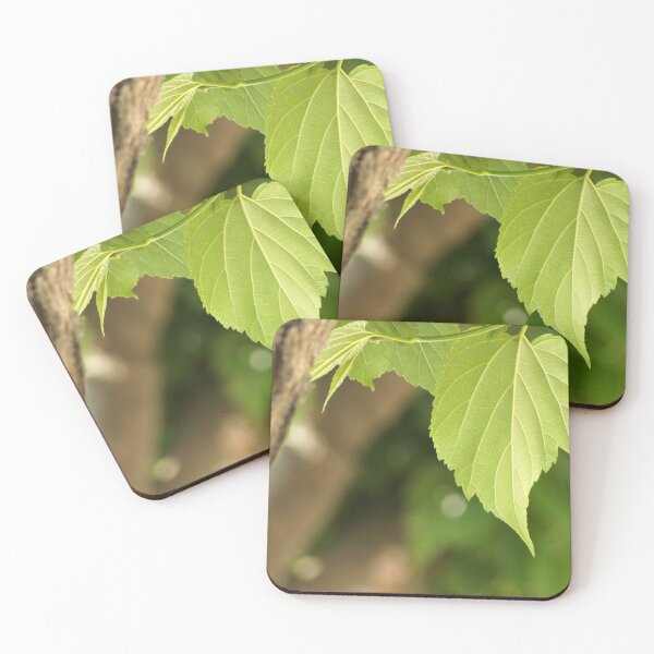 Item preview, Sides of a sheet plane designed and sold by Grégory DUBUS.