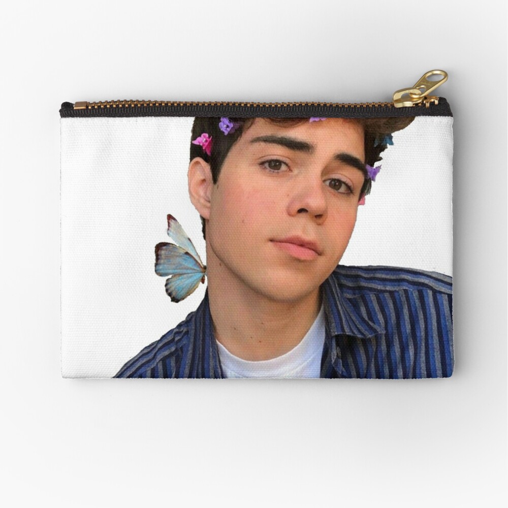 Benji Krol Butterfly Sticker