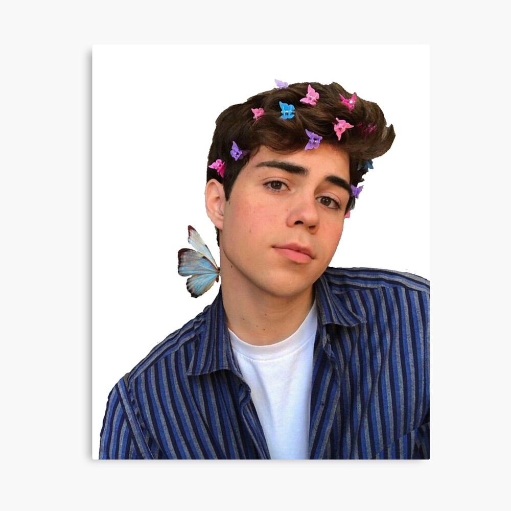 Benji Krol Butterfly Sticker