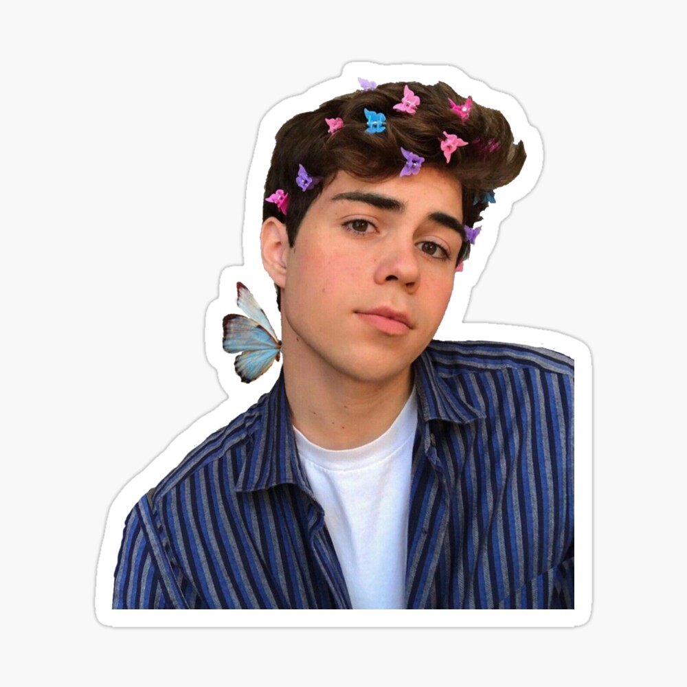 Benji Krol Butterfly Sticker