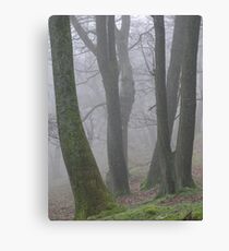Tree trunks in the mist Canvas Print