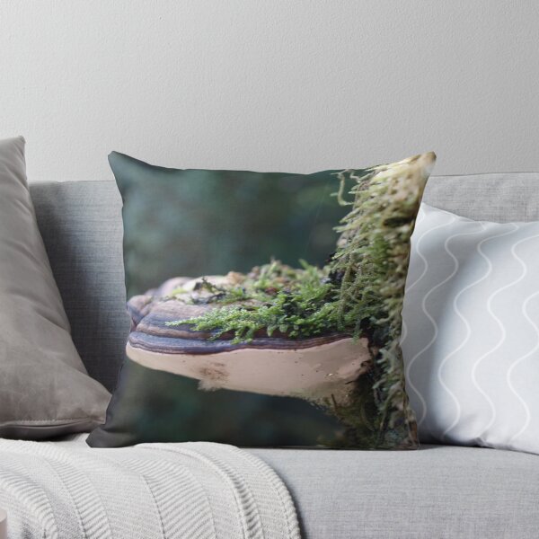 Item preview, Rain Forest  Fungi Tasmania Gordon River Bush Walk April 2009 designed and sold by Tom McDonnell.