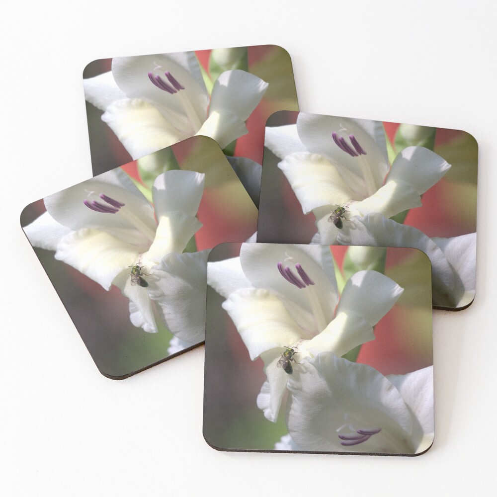 Item preview, Coasters (Set of 4) designed and sold by Mike Cicero.