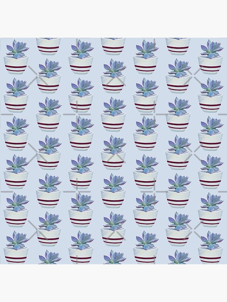 Succulent in a Striped Pot (no background) by EmilyBickell