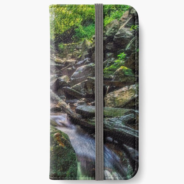 Big Run Falls, 2019.07.19 iPhone Wallet