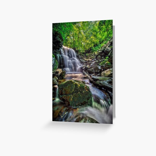 Big Run Falls, 2019.07.19 Greeting Card