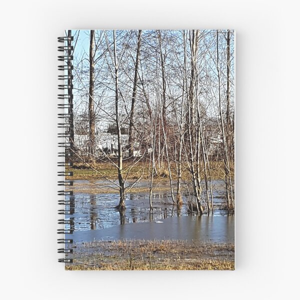 Item preview, Flooded Fields designed and sold by Lesliebc.