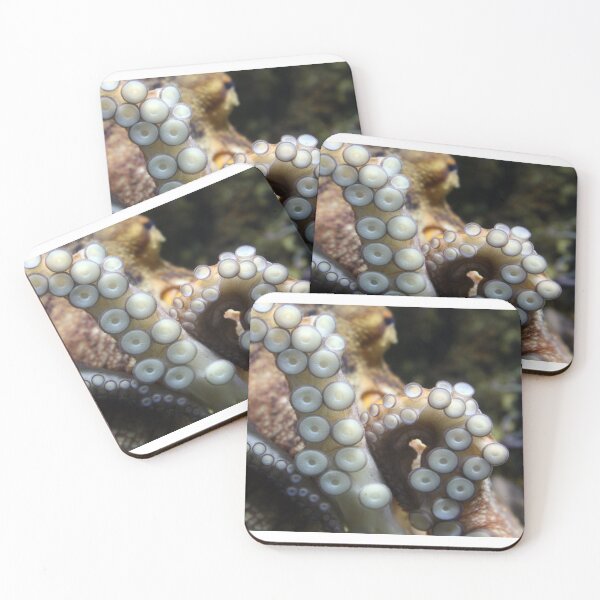Item preview, Tentacles of octopus close up designed and sold by Grégory DUBUS.