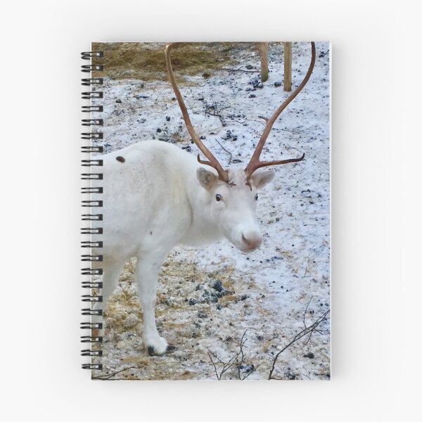 Item preview, White Reindeer   Norway  designed and sold by Angela Haig-Harrison.