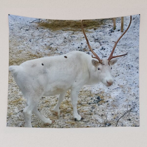 Item preview, White Reindeer   Norway  designed and sold by Angela Haig-Harrison.