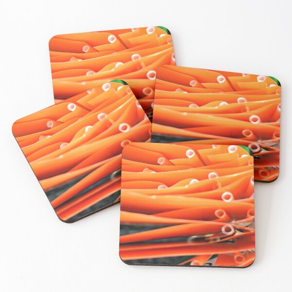 Item preview, Tiranga, National Flag of India designed and sold by Rav33822.
