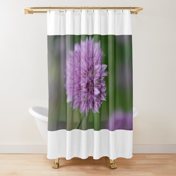 Allium Purple Flower Shower Curtain