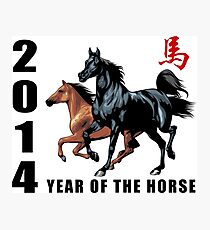 2014 Year of The Horse Photographic Print