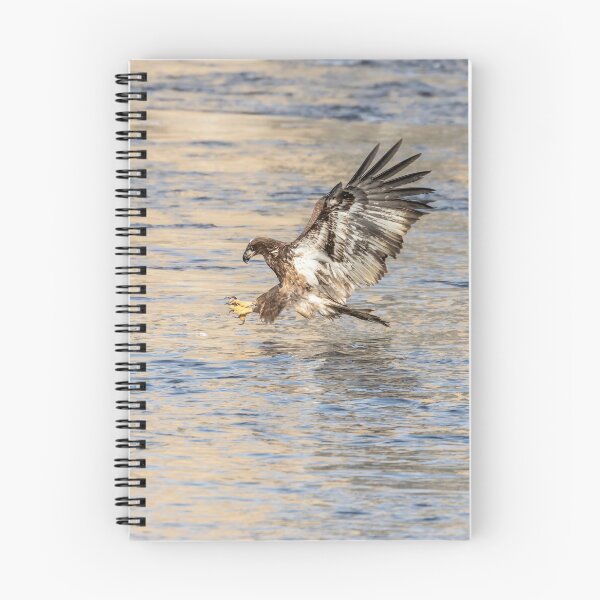Item preview, Bald Eagle 2019-19 designed and sold by Thomasyoung.