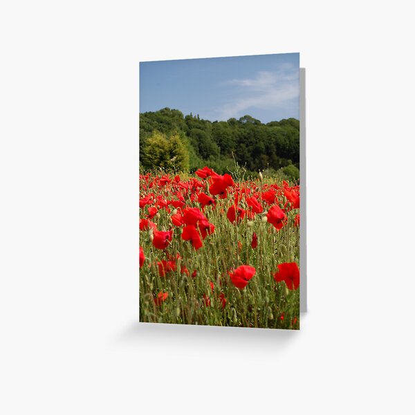 Dash of Red Greeting Card