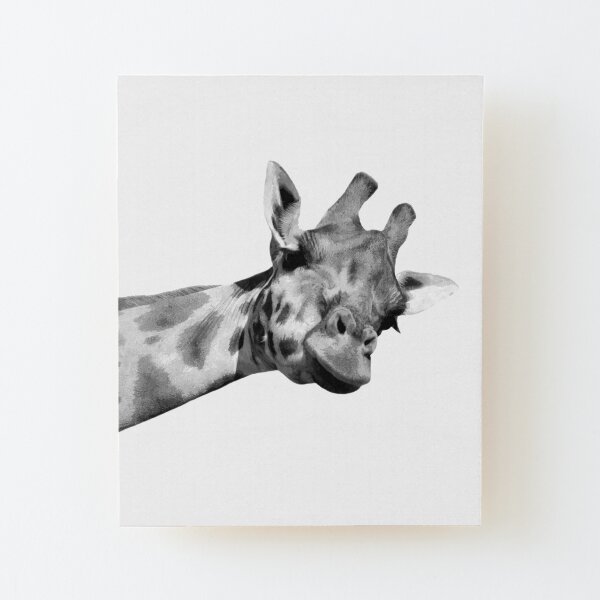 Black and White Giraffe Wood Mounted Print