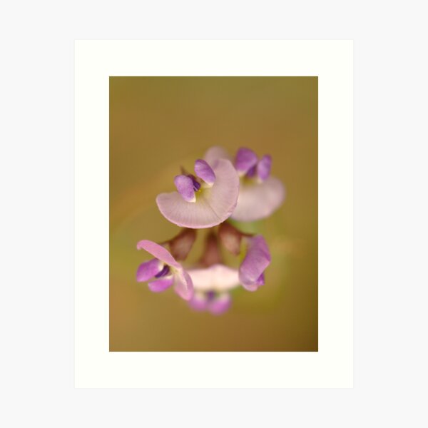 Item preview, Twining Glycine designed and sold by pcbermagui.