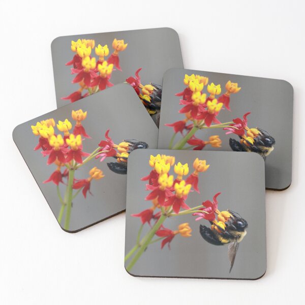 Item preview, Busy Bee designed and sold by StampCity.
