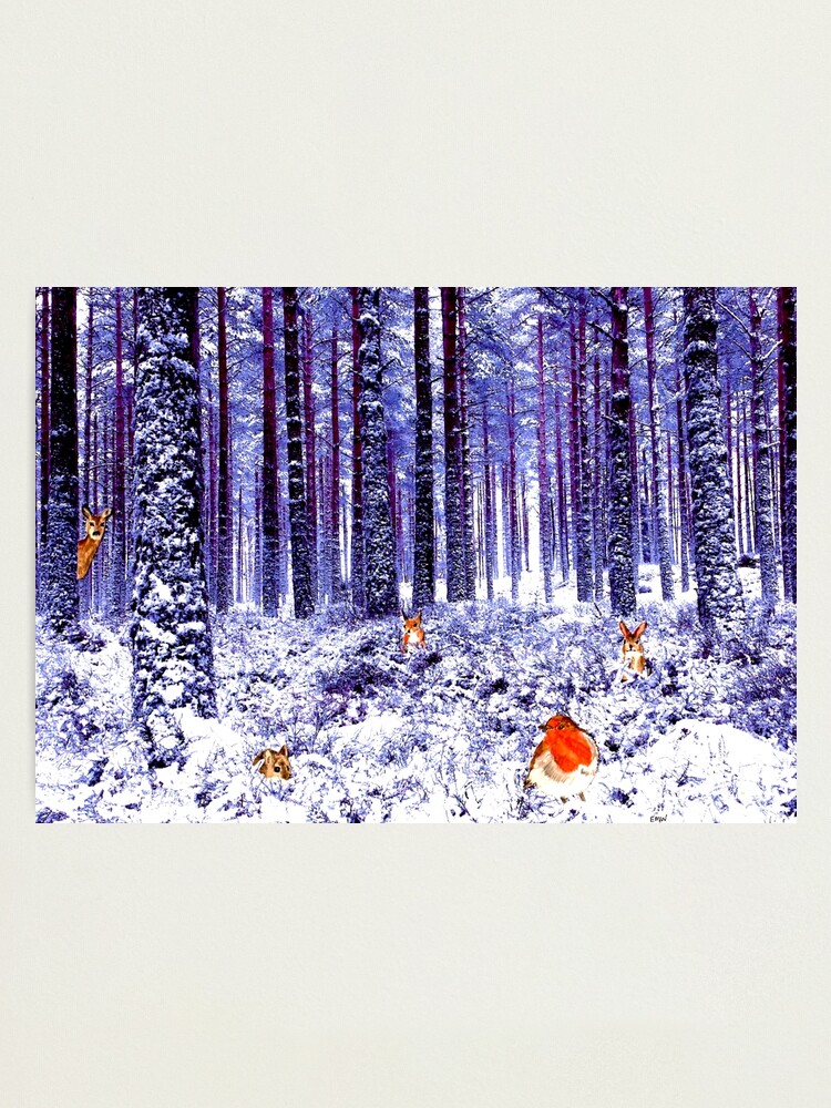 Alternate view of Winter Wonderland - Wall Art Photographic Print