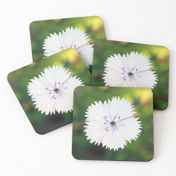 Item preview, White Dianthus designed and sold by StampCity.