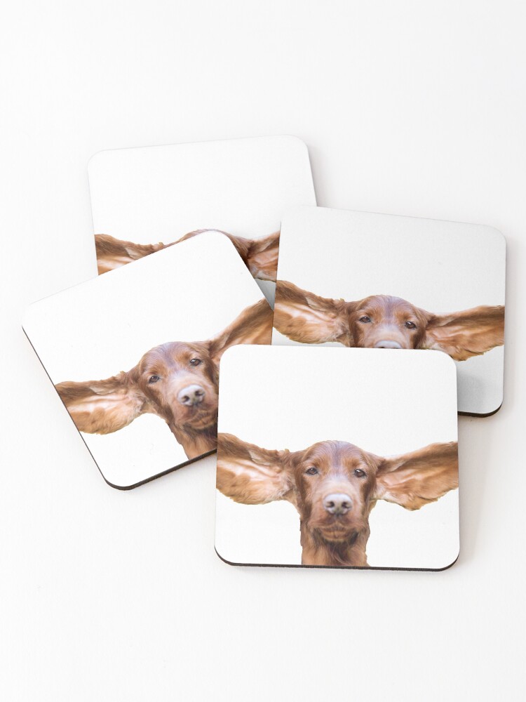 funny dog coasters