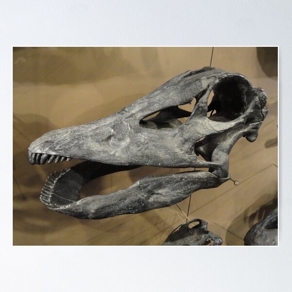Item preview, Random Gigantosaurus designed and sold by skeletonsrus.