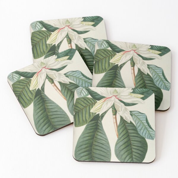 Item preview, Botanical Magnolia designed and sold by BlueSpecsStudio.