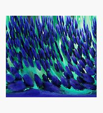 Frosted Blue Photographic Print