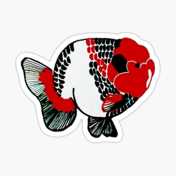 Vista previa del artículo con la obra «Logotipo de Ranchu Tri Color SVR Goldfish», diseñado y vendido por Nosnah.