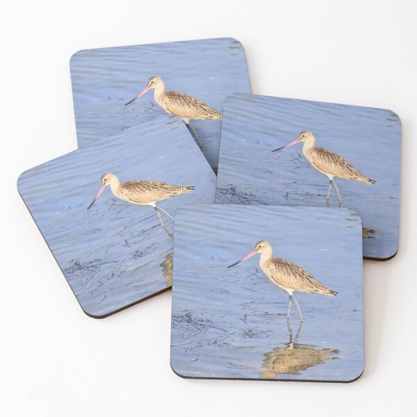 Item preview, Shore Bird & Reflection designed and sold by Eleu Tabares.