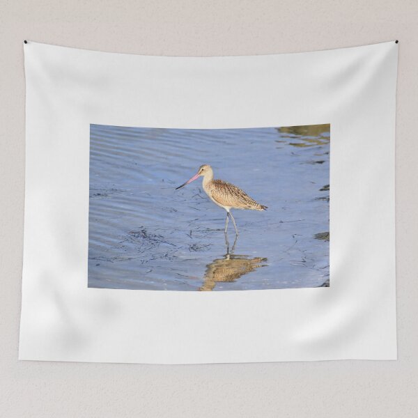 Item preview, Shore Bird & Reflection designed and sold by Eleu Tabares.