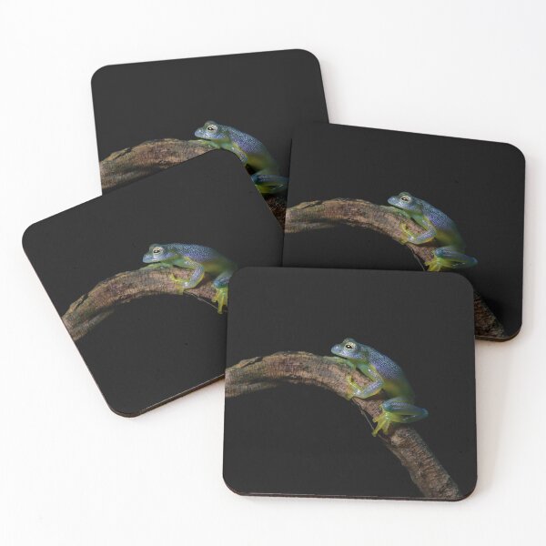 Item preview, Glass Frog designed and sold by mlorenz.