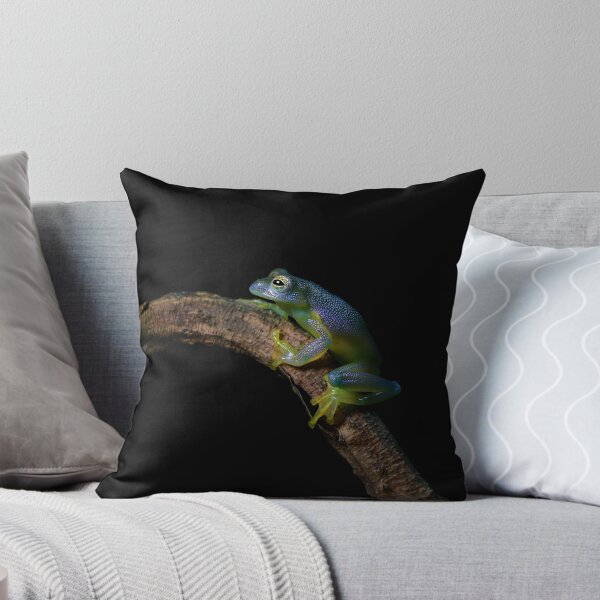Item preview, Glass Frog designed and sold by mlorenz.