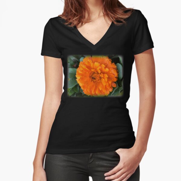 Fitted V-Neck T-Shirt