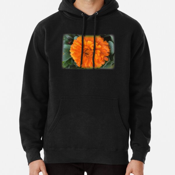 Hoodie (Pullover)