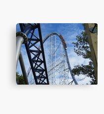 Cedar Point Canvas Print