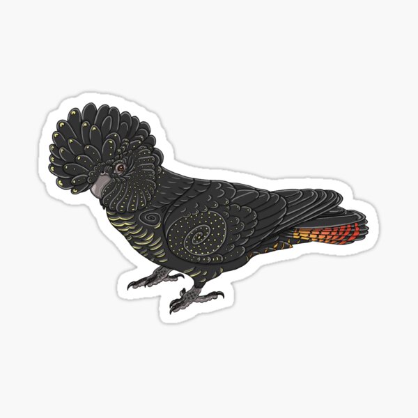 Item preview, Red-tailed Black Cockatoo designed and sold by Corvola Creations.