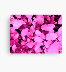 purple switch Canvas Print