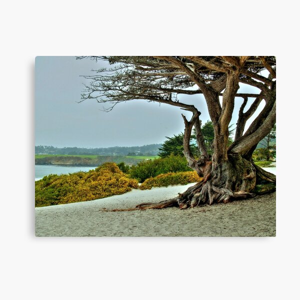 Carmel Beach II Canvas Print