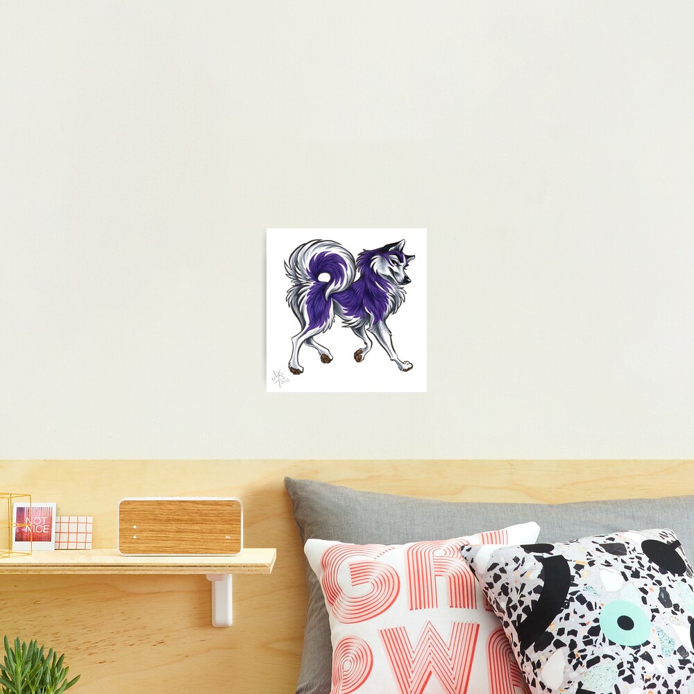 Huskie Strut Photographic Print