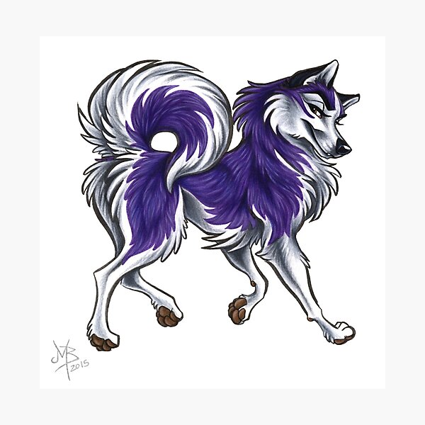 Huskie Strut Photographic Print