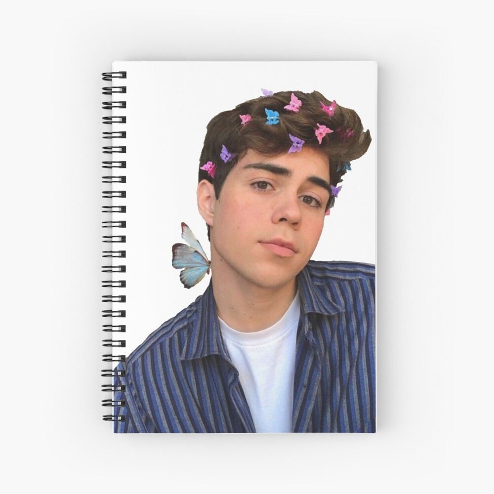 Benji Krol Butterfly Sticker