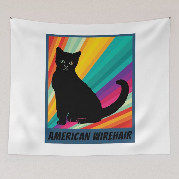 Item preview, American Wirehair designed and sold by 1681830934131.