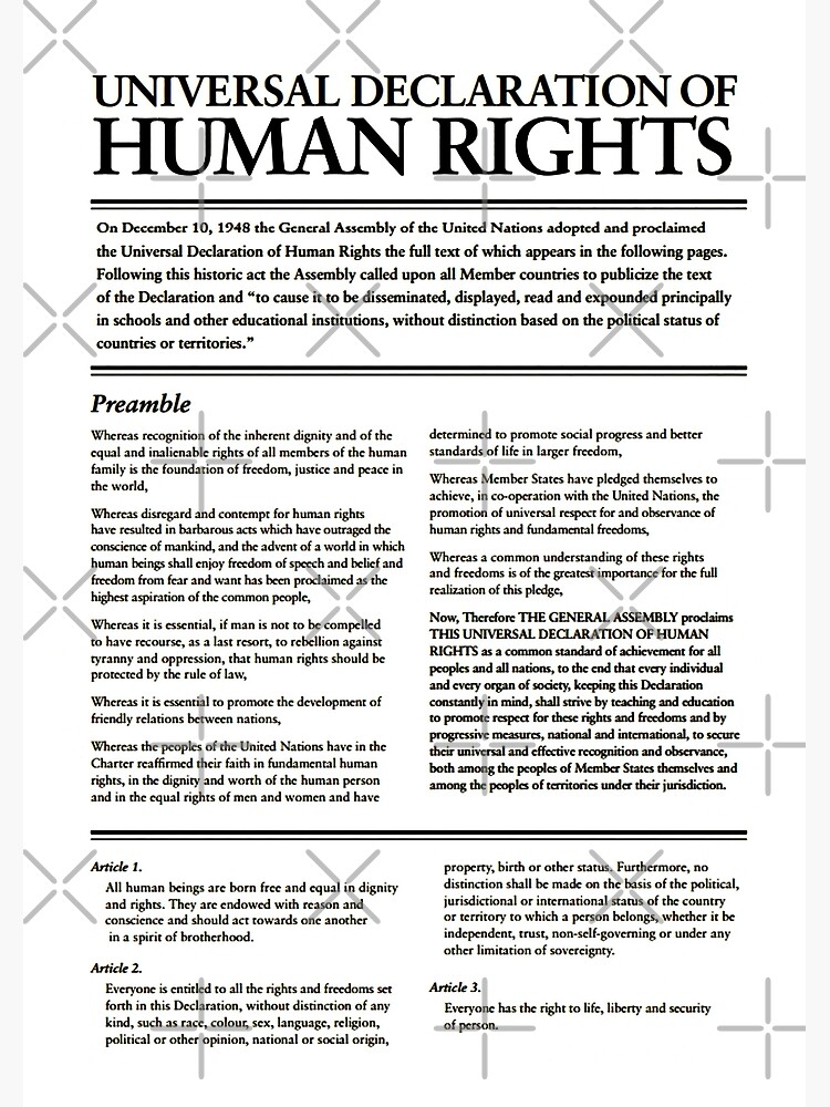 HIGH RESOLUTION The Universal Declaration of Human Rights First Page by buythebook86