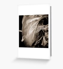 Bellydance Greeting Card