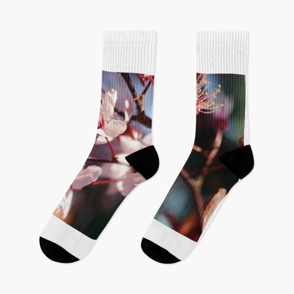 Item preview, Blossoms of a fruit tree in spring designed and sold by ToniStauche.